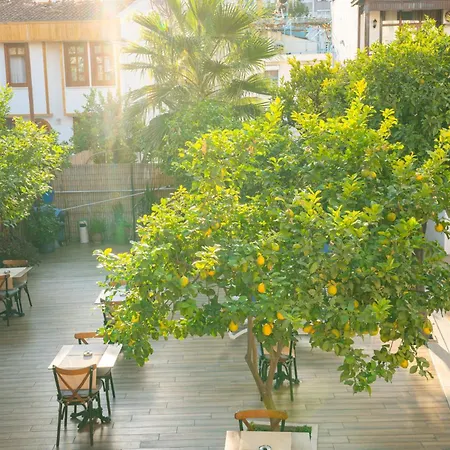 Hotel Oscar Garden