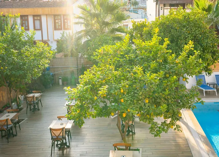 Szálloda Oscar Garden